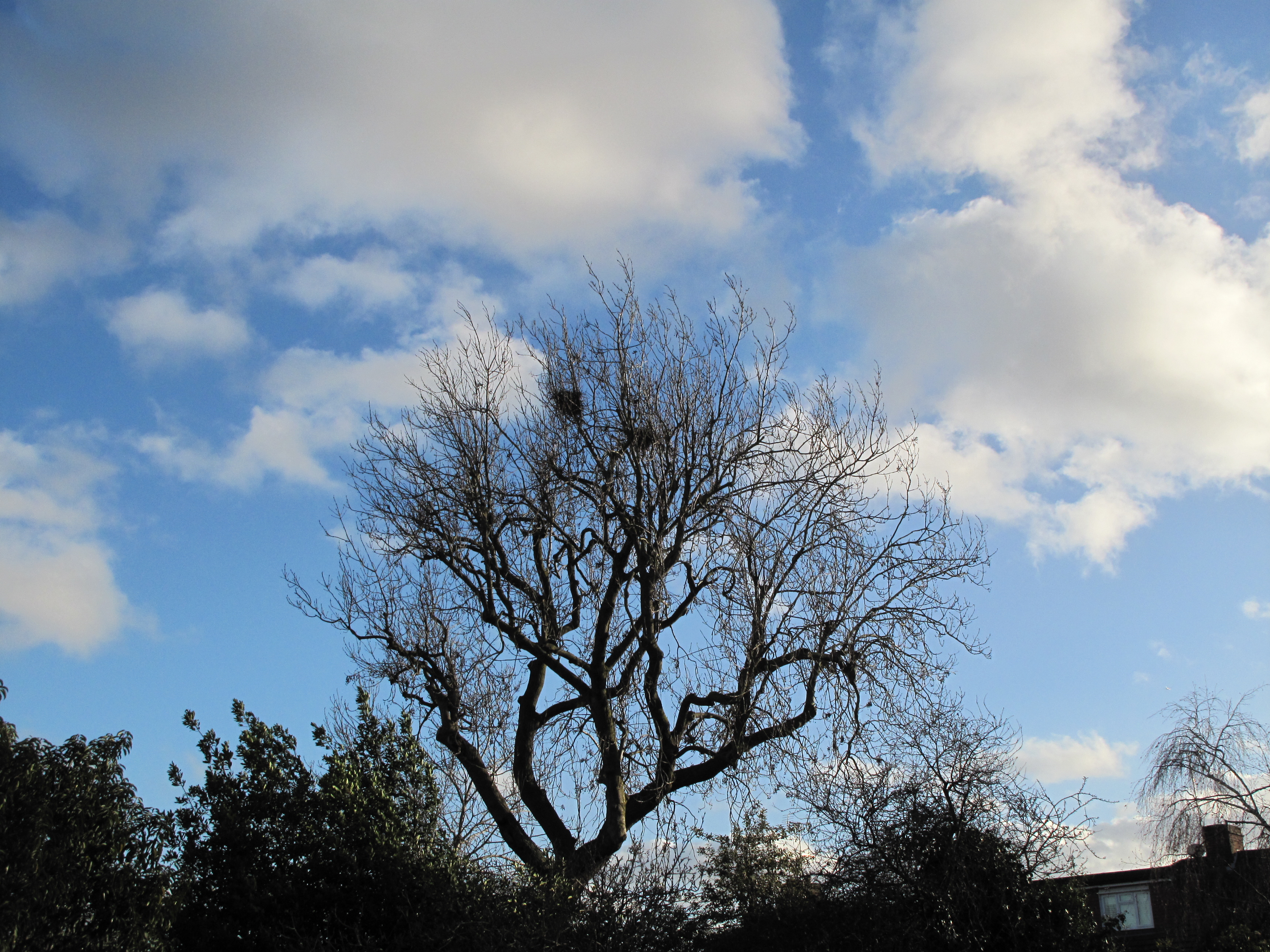 Canon Powershot G10